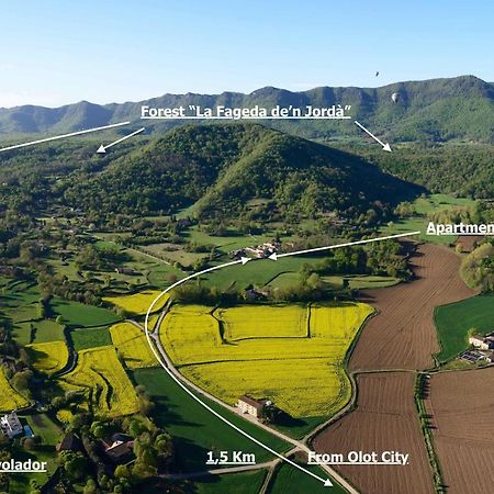 Apartamento "El Lila" - Parking Incluido Olot Dış mekan fotoğraf