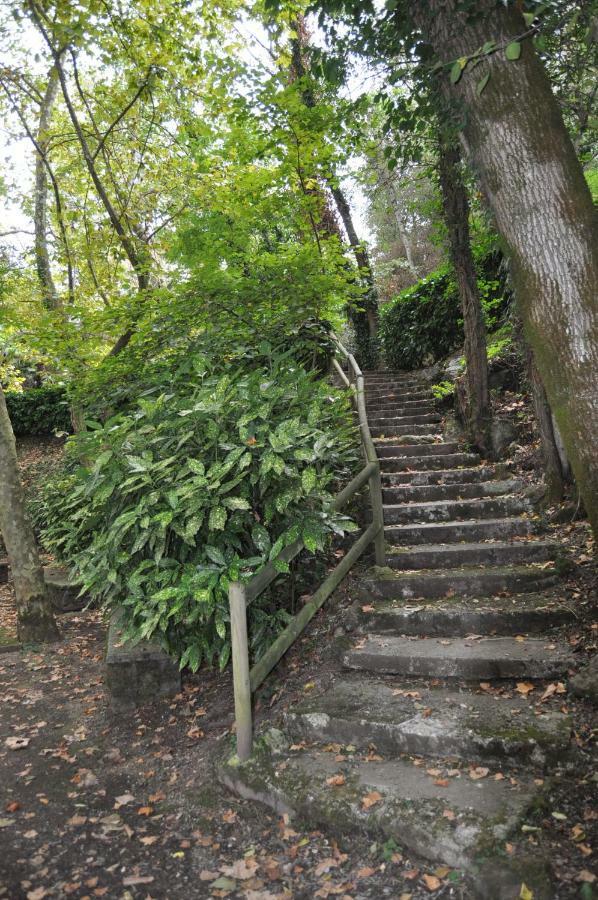 Apartamento "El Lila" - Parking Incluido Olot Dış mekan fotoğraf